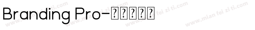 Branding Pro字体转换